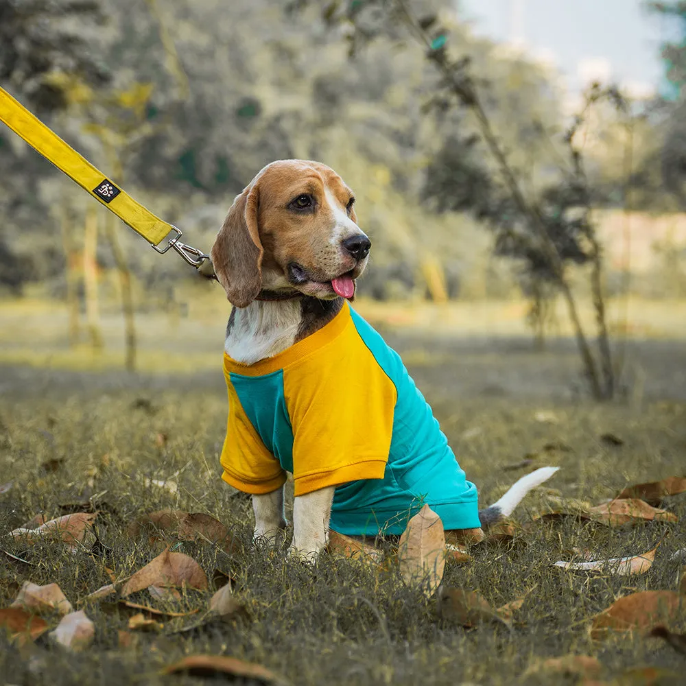 Dear Pet Sea Green & Yellow Dog T-Shirt