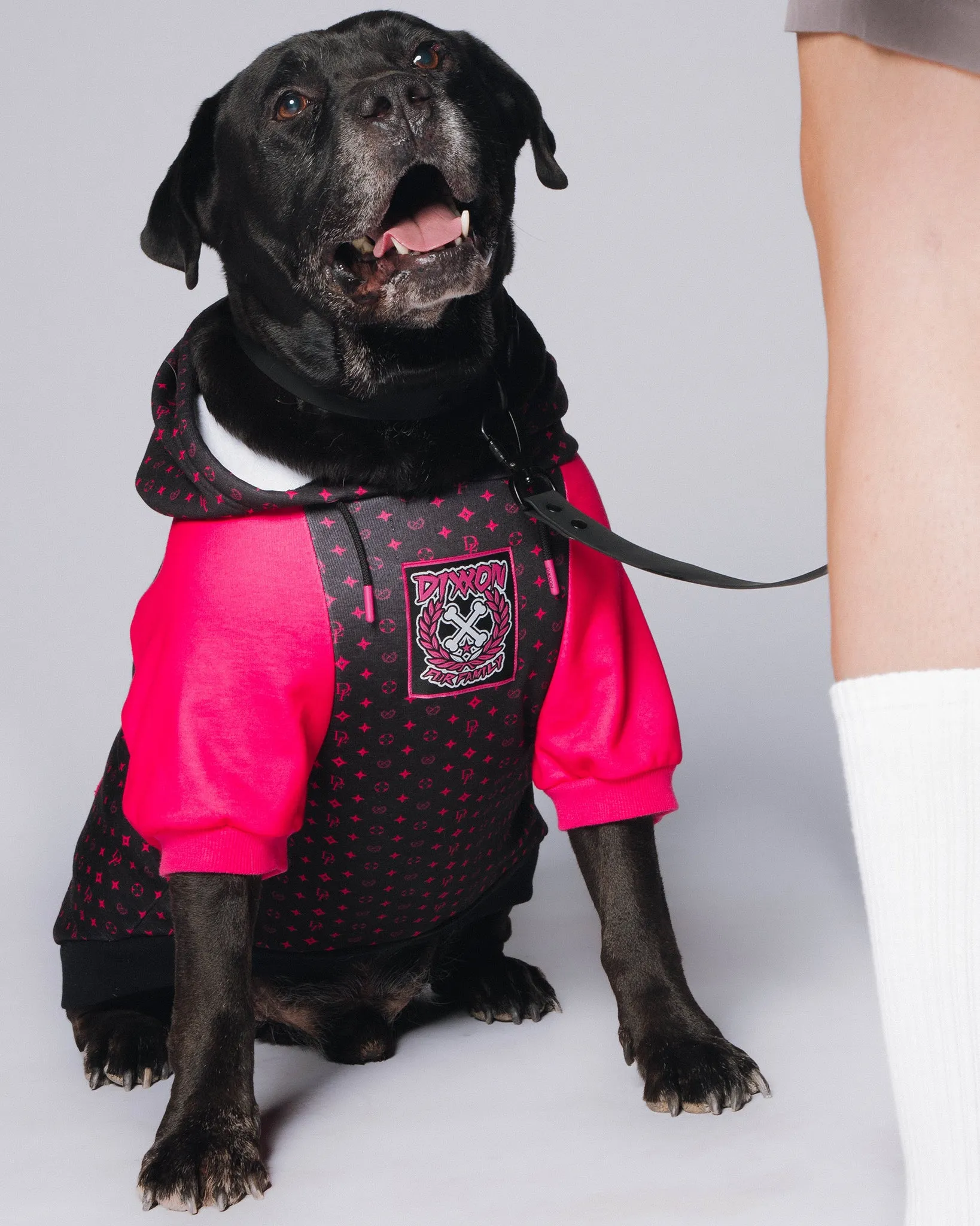 Dog Hoodie - Bougie - Black & Pink