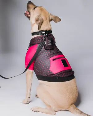 Dog Hoodie - Bougie - Black & Pink