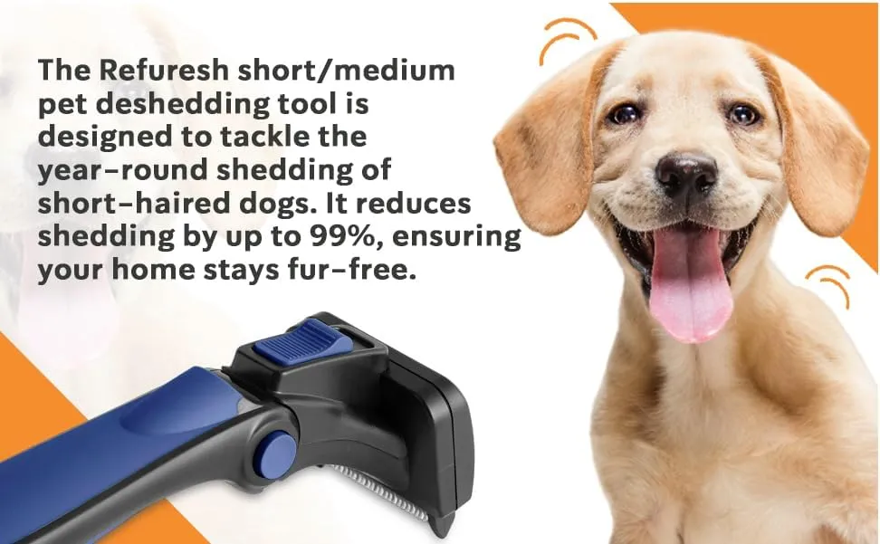 Refuresh, Medium, blue Deshedding Brush for Short Hair Dogs, Cats & Pets - Lightweight Brush for Shedding & Grooming - Deshedder Supplies