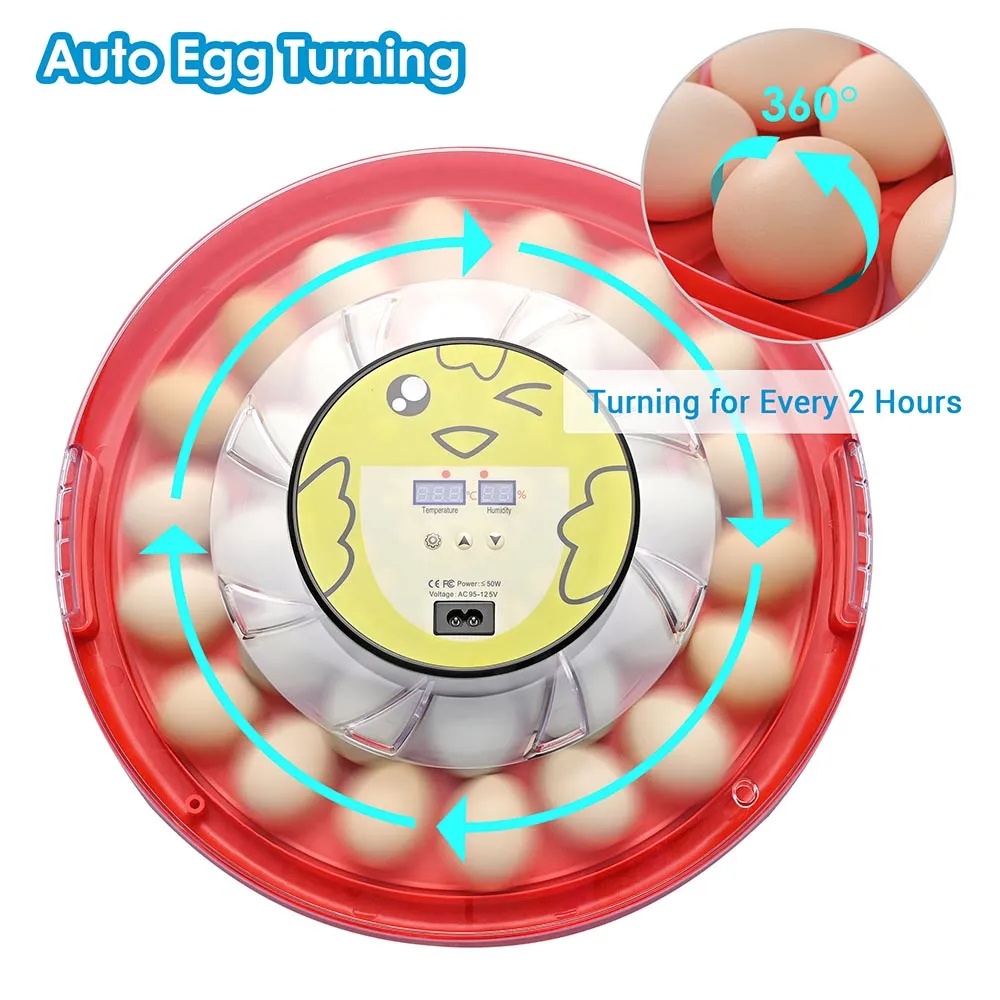 TheLAShop 30 Egg Incubator Automatic Turner Chicken Quail Duck Hatcher