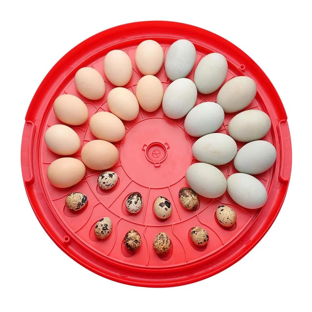 TheLAShop 30 Egg Incubator Automatic Turner Chicken Quail Duck Hatcher